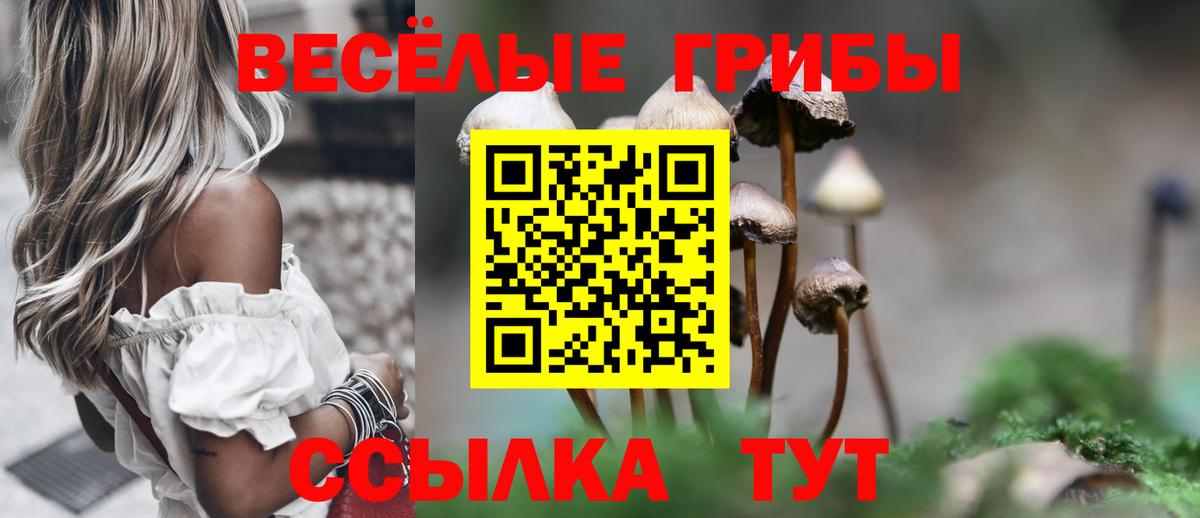 Галлюциногенные грибы Psilocybine cubensis Урай